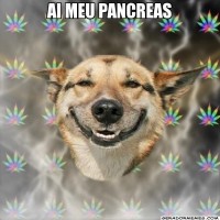 /album/rindo-no-maximo/ai-meu-pancreas-jpg/